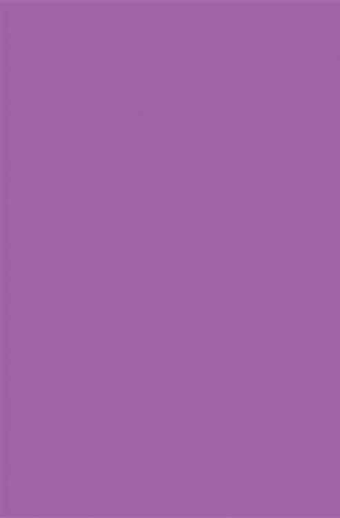 Ковер Меринос Рс-164226 Прямоугольник Фиолетовый